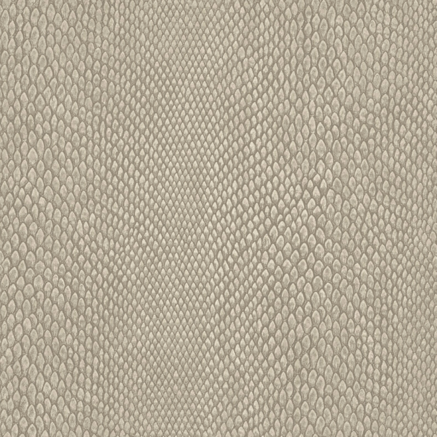 NHW1035 Naja Beige PARATO PVC/TNT PERLA- ROTOLI DA MT.10,05x0,53