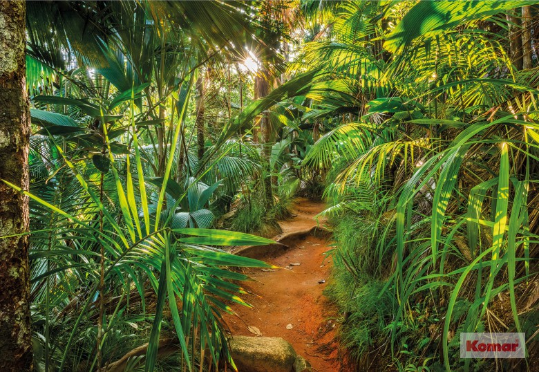 8-989  Jungle Trail - Fotomurale Komar Imagine Ed.5- Collezione Colours - Misura Cm.368x254 H.