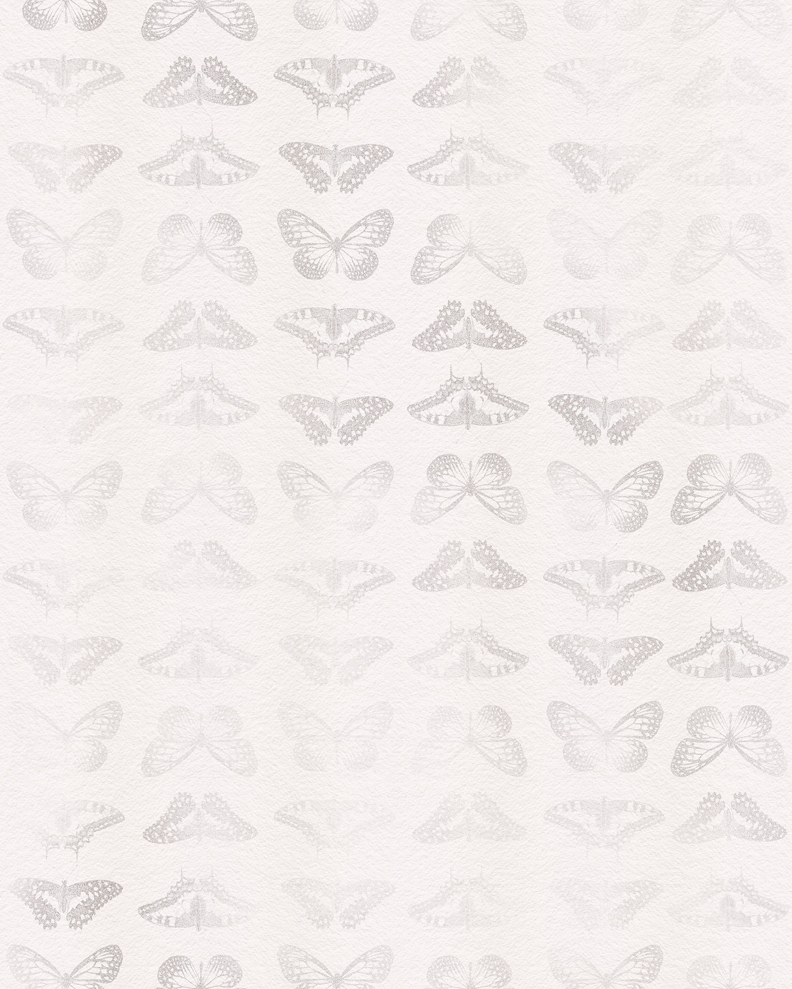 X4-1076  Mur De Papillons  - Fotomurale Komar Imagine Ed.5- Collezione Colours - Misura Cm.200x250 H.