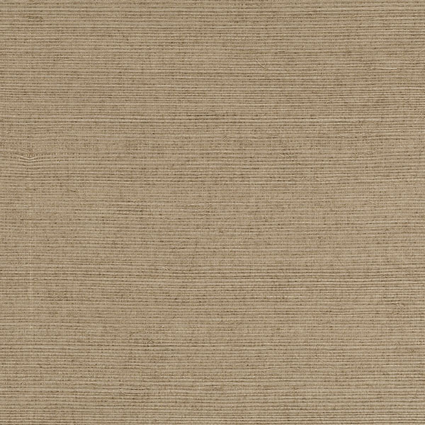 488-409 Parato Paglia Grasscloth 2 G.d