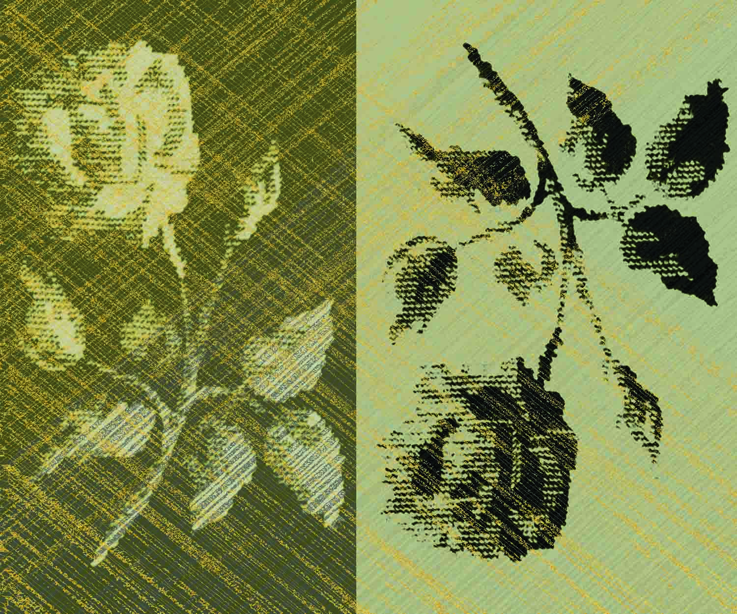 BAR51131 Two Roses : Stampa Digitale Su Supporto Tnt Matt Mt.4,5x3h.