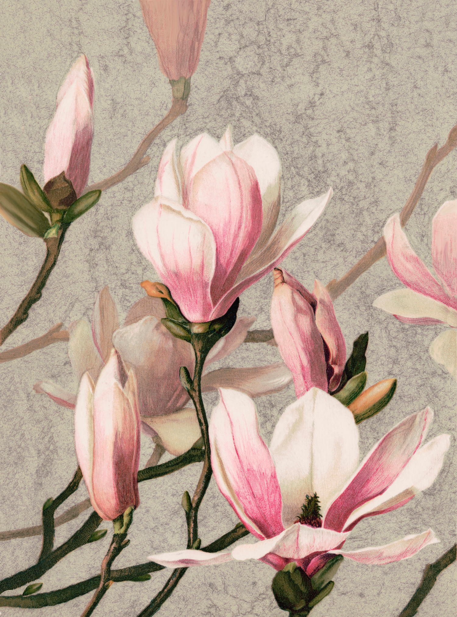 CM150525 Pastel flowers Stampa Digitale Meraviglia- Prodotto Standard su Matt cm.200x270H