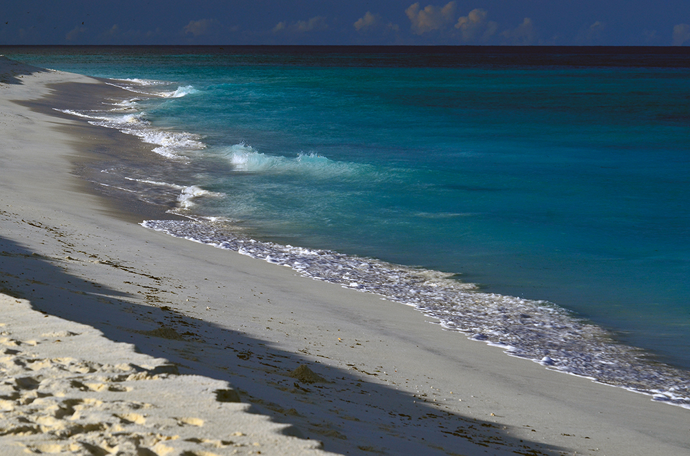 DD100007 Seychelles - Calmy Beach: Stampa Digitale Su Supporto Tnt PaTina Mt.4x2,67h.