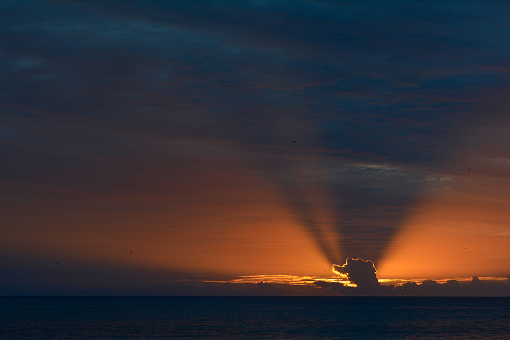 DD100025 Seychelles - Impressive Sunset: Stampa Digitale Su SupportoTnt Patina Mt.4x2,67h.