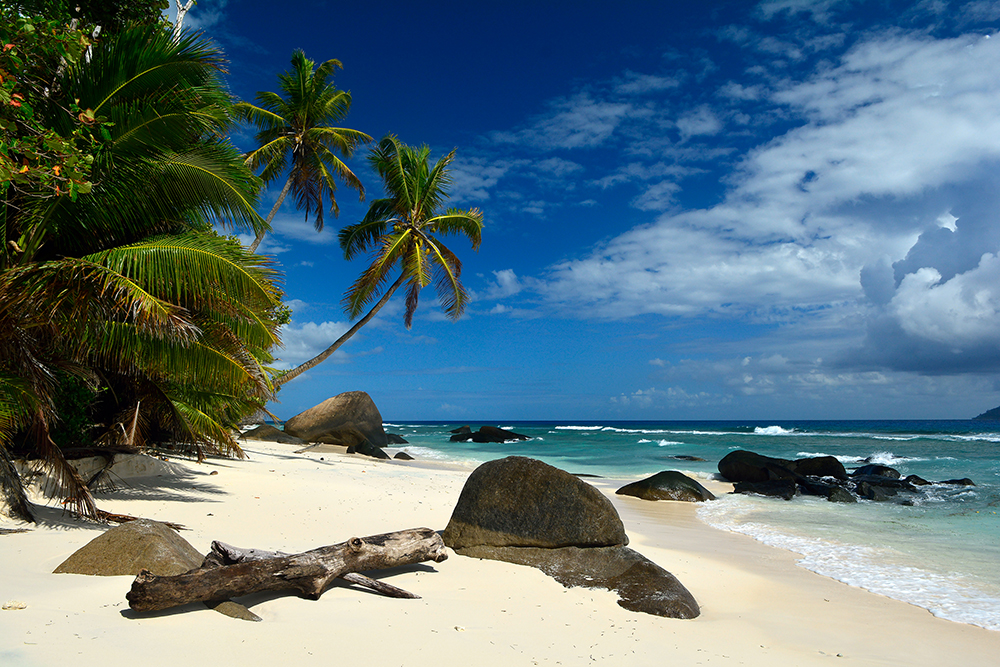 DD100049 Seychelles Paradise: Stampa Digitale Su Supporto Tnt PatinaMt.4x2,67h.