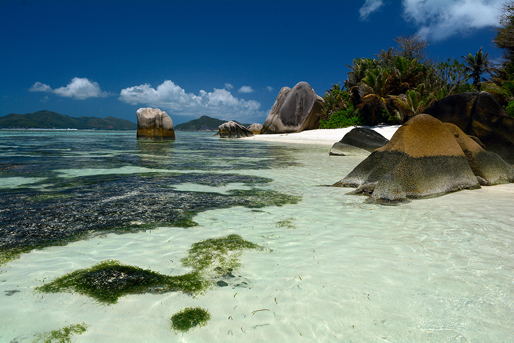 DD100067 Seychelles - Beach And Rocks: Stampa Digitale Su Supporto TnT Patina Mt.4x2,67h.