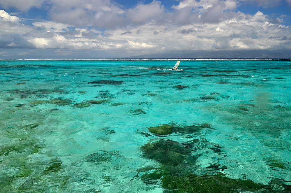 DD100163 Tahiti - Lovely Clear Sea: Stampa Digitale Su Supporto Tnt PAtina Mt.4x2,67h.