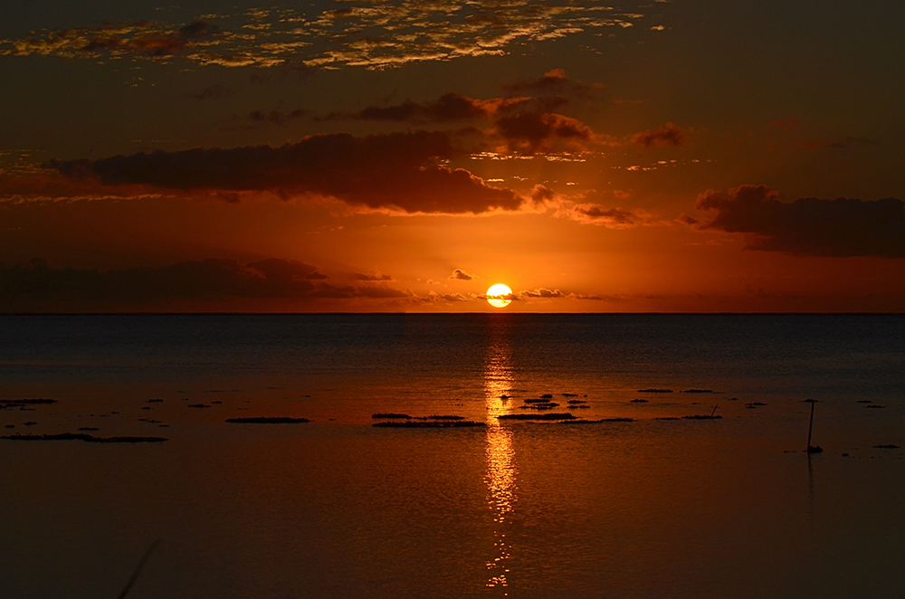DD100199 Tahiti Sunset: Stampa Digitale Su Supporto Tnt Patina Mt.4x2,67h.