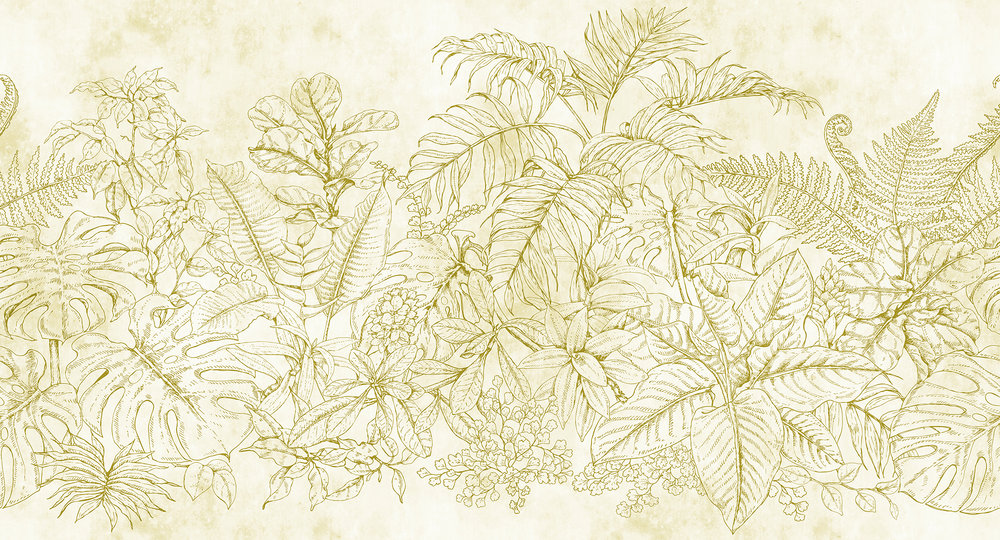 DD111092 Fern Garden 1: Stampa digitale su supporto TNT Vlies Matt mt.5x2,7h.