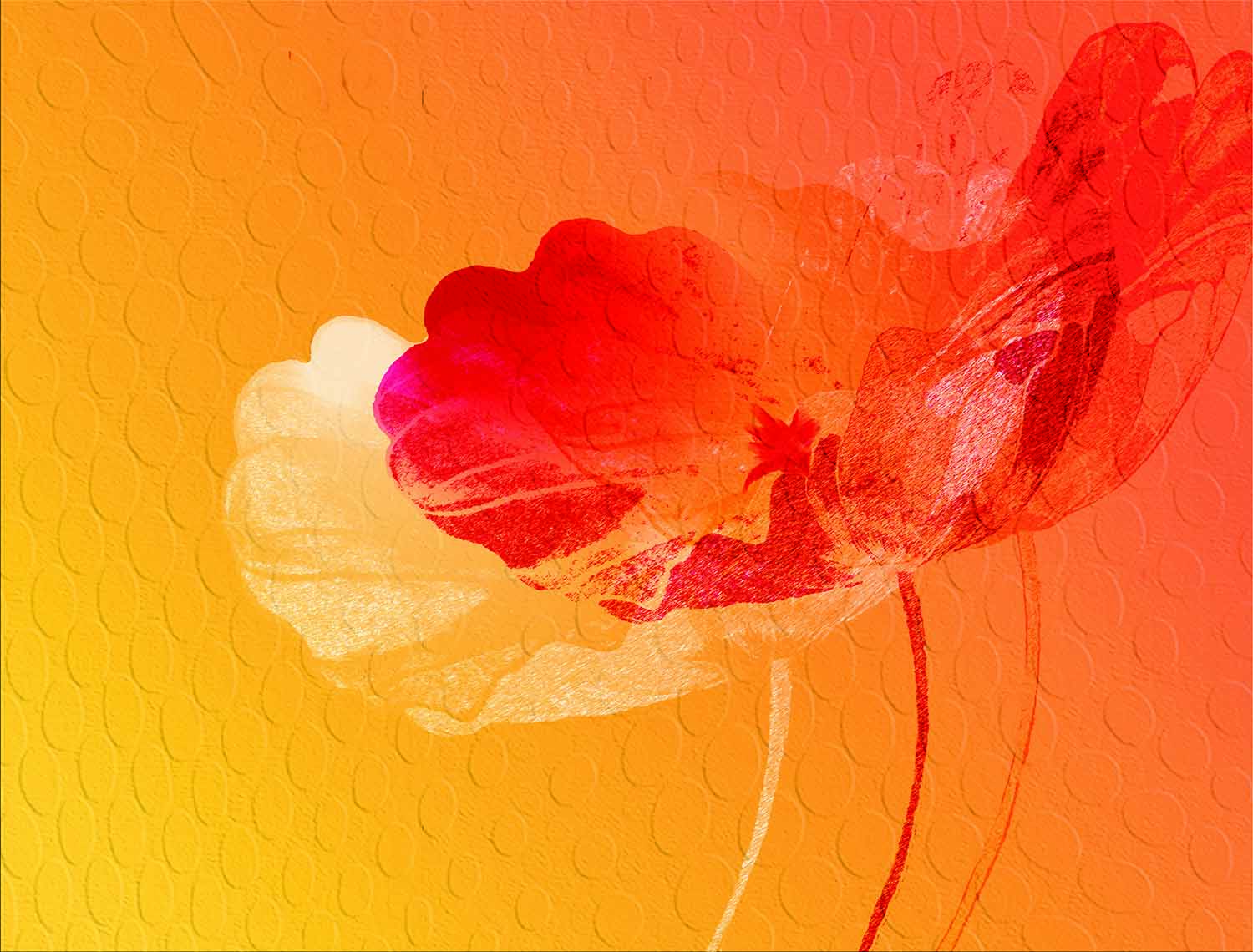 GRA41111 Waterflowers Orange : Stampa digitale su supporto TNT Matt mt.4,5x3h.