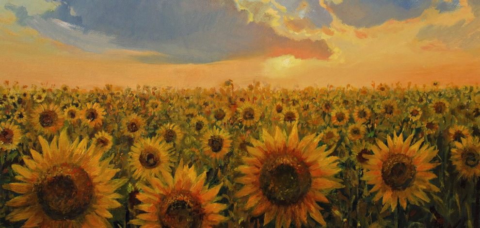NA002 Sunflowers