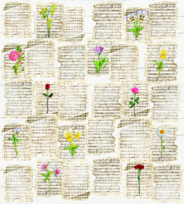 ROM51201  Singin' Flowers : Stampa digitale su supporto TNT Matt mt.4,5x3h.