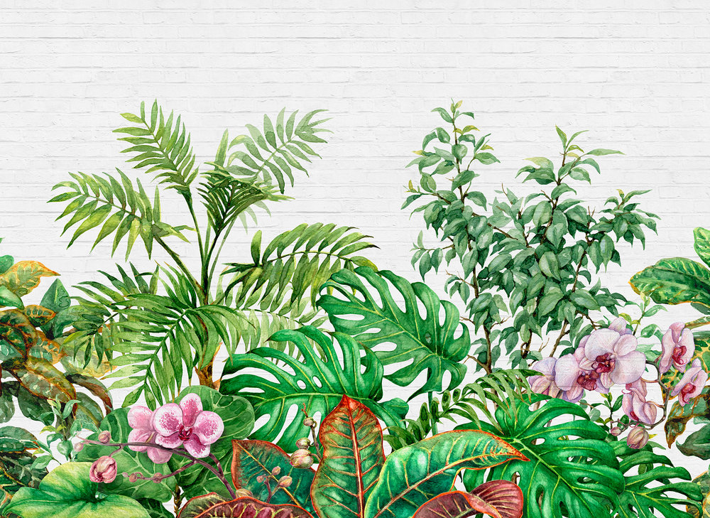 5191070 Tropical Jungle 1 Stampa Personalizzabile- Misura standard cm.350x255H