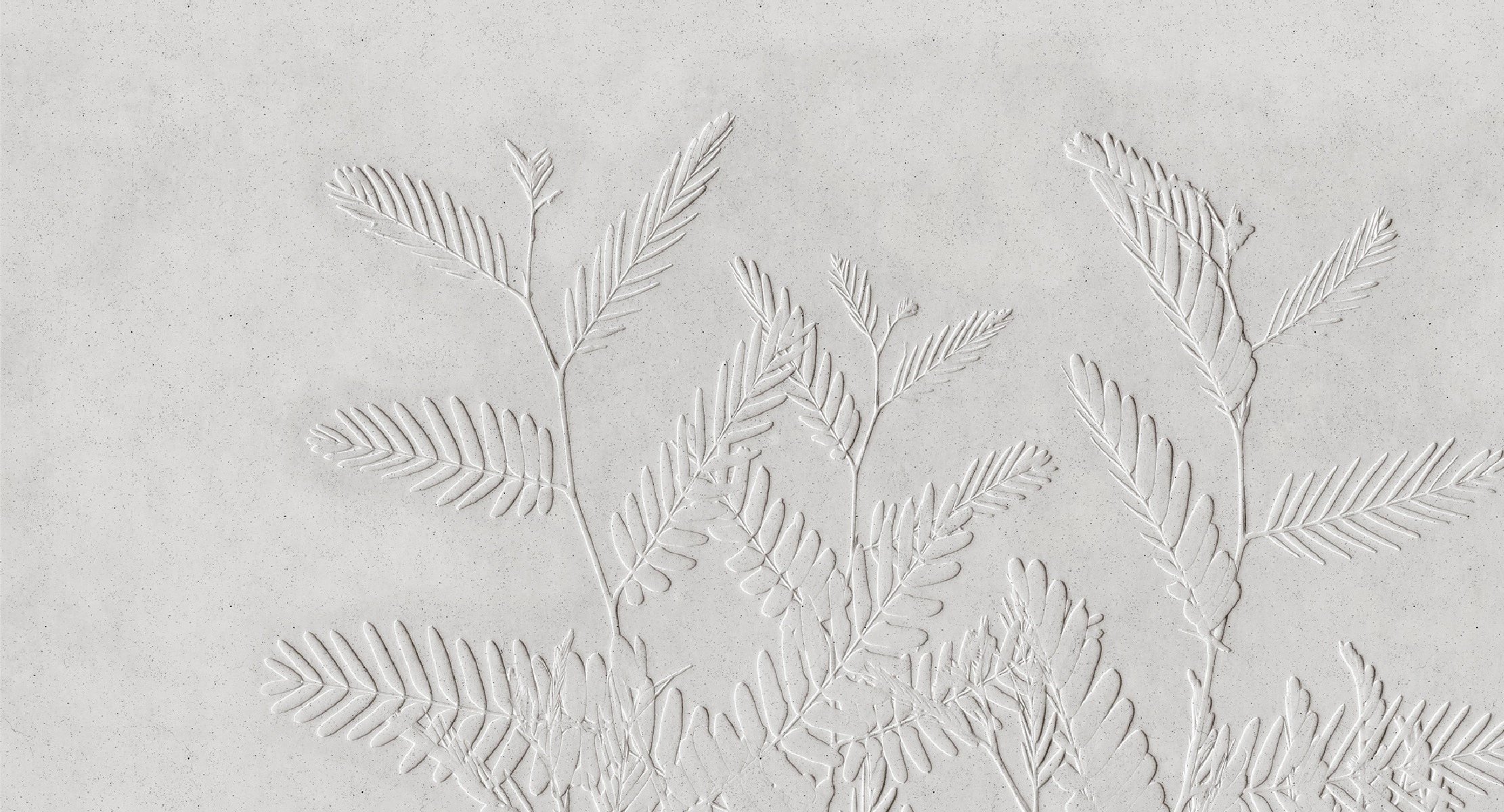 DD127758 Fern, Stampa su Vlies Matt, collezione Walls by Patel N.4, misura standard cm.500x270H.