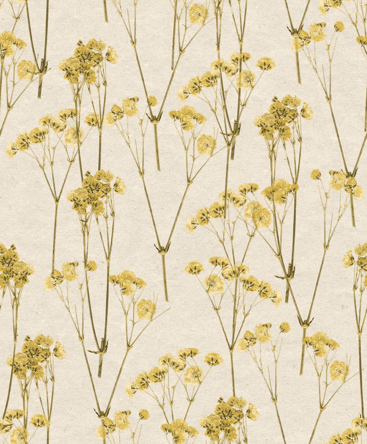 HE27242 Spry Flower Sunset Yellow, Parato Ecodeco Herbarium, Rotolida mt.10,05x0,53