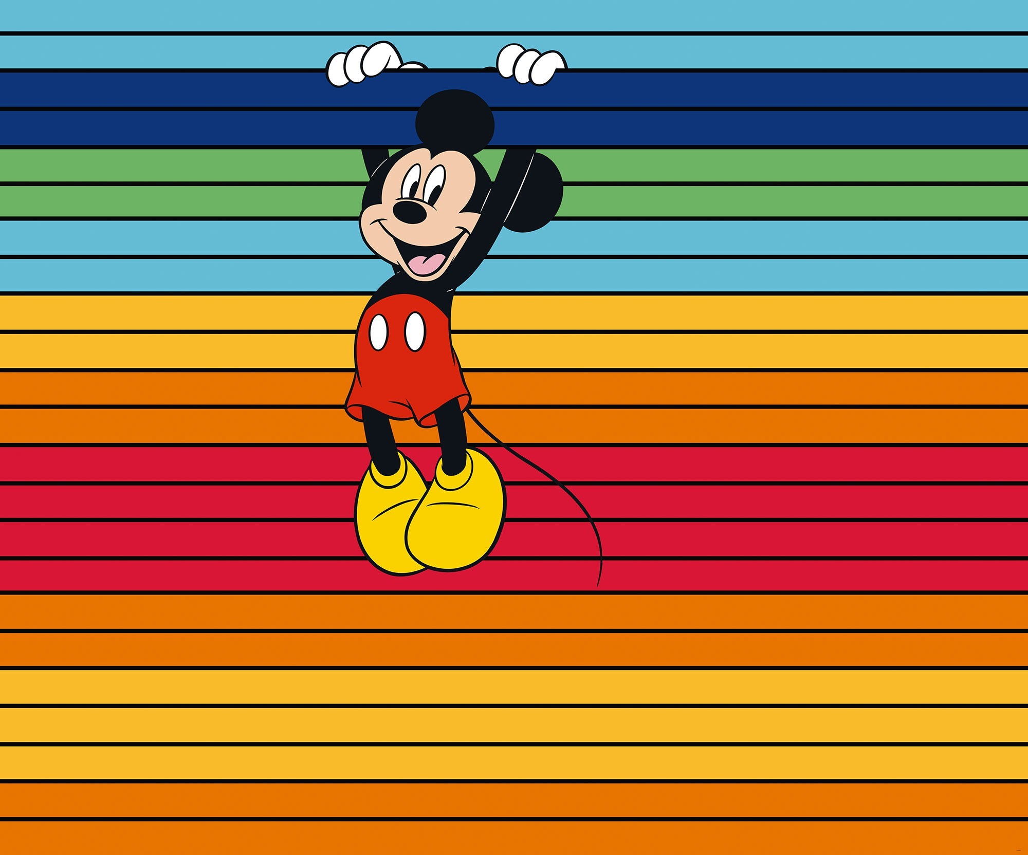 DX6-162 Mickey Magic Rainbow, Fotomurale TNT Intowonderland, Misuracm.300x250h - 6 teli