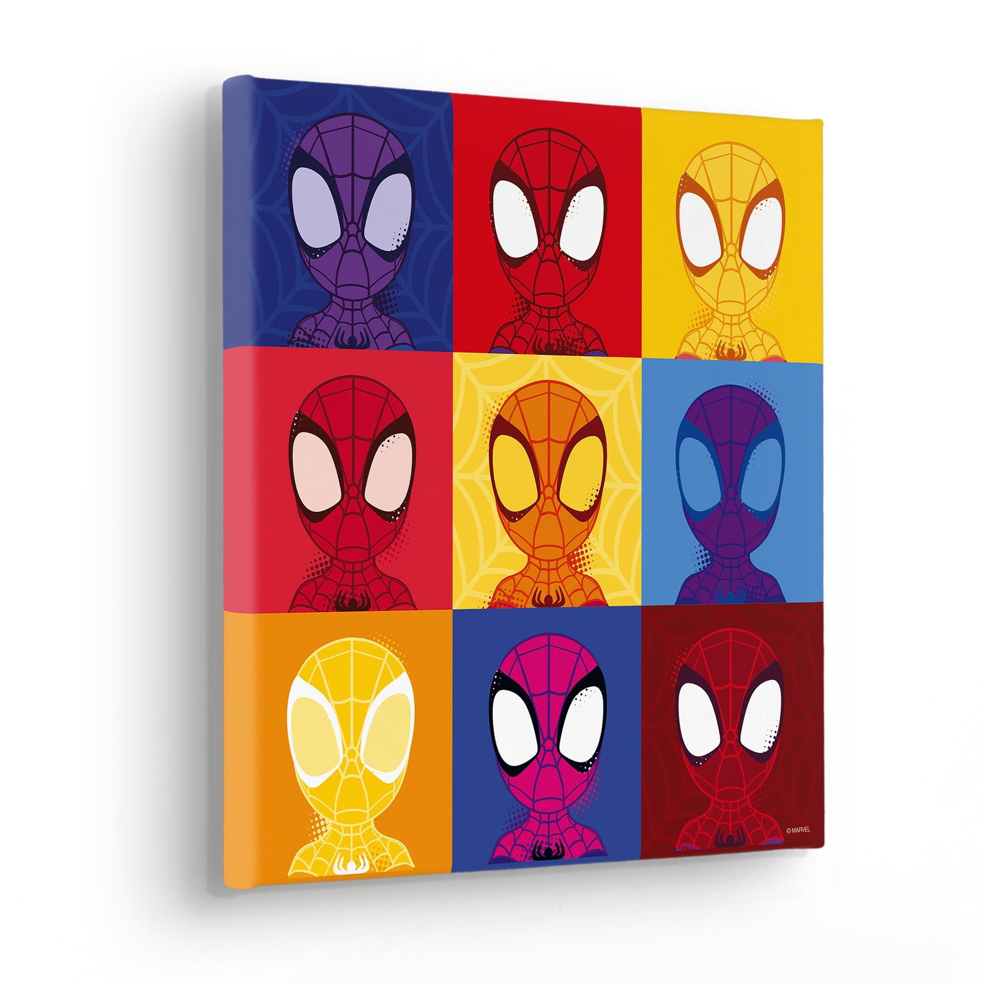 KR185-M-30X30 Spidey Symmetry, Quadro In TNT Intelaiato, Misura cm.30x30h