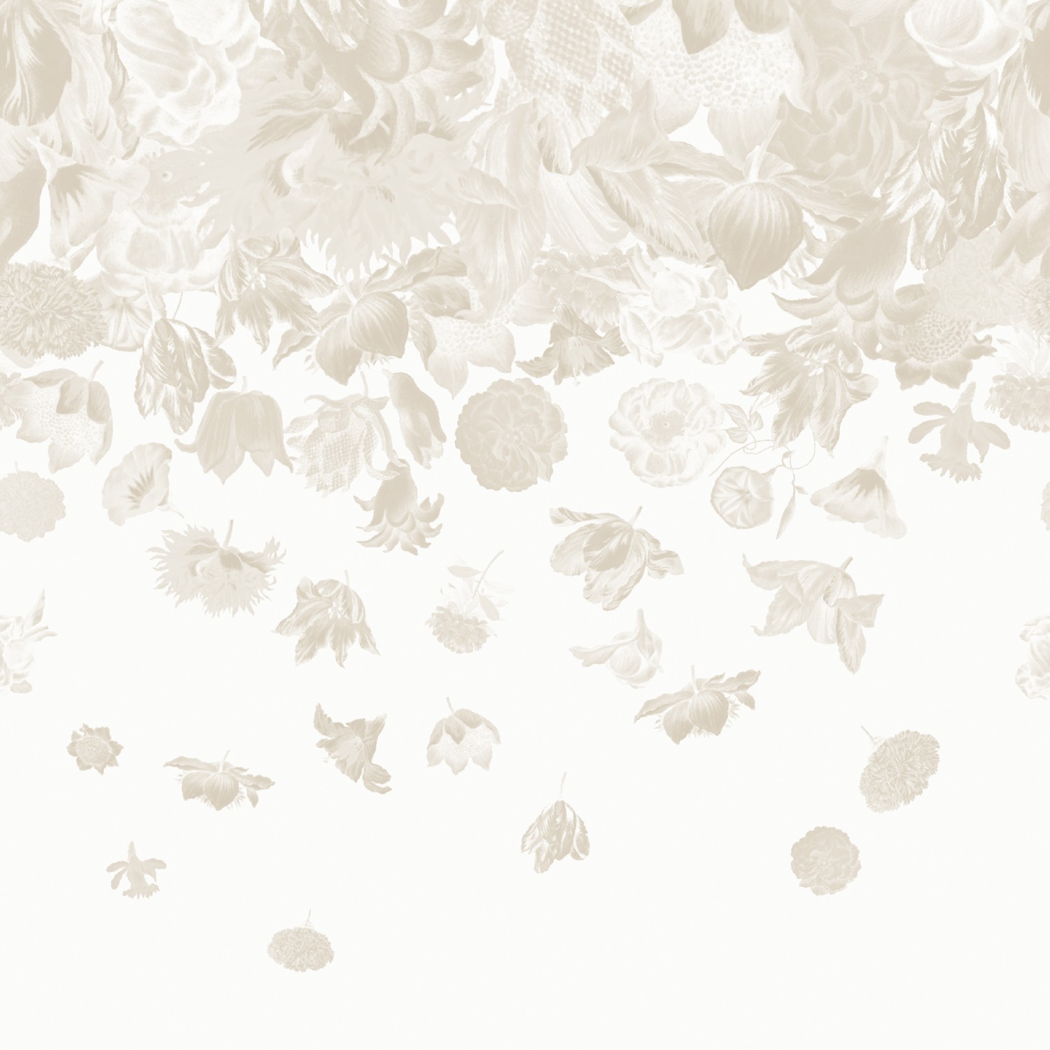 BYL18004 Flower Rain Almond ,Stampa Digitale Babylon ,Standard su Nonwowen cm.280x270