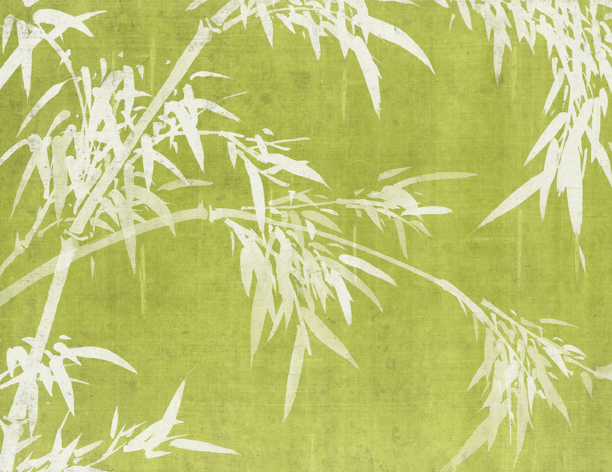 BYL18056 Bamboo Leaves Lime ,Stampa Digitale Babylon ,Standard su Nonwowen cm.350x270