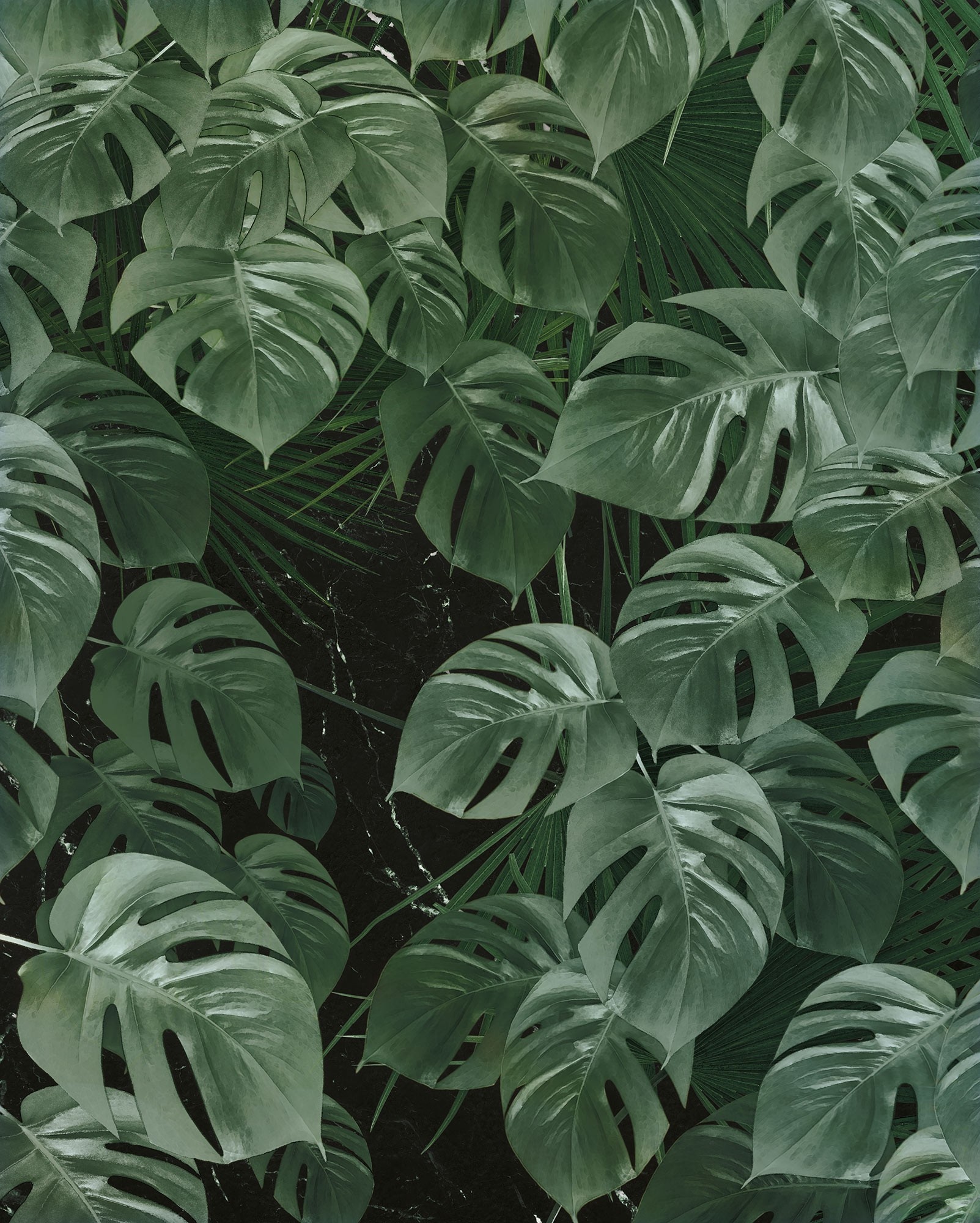 P035-VD2 Monstera On Marble ,Fotomurale Tnt Pure2 ,Misura Cm.200X250(2 Teli)