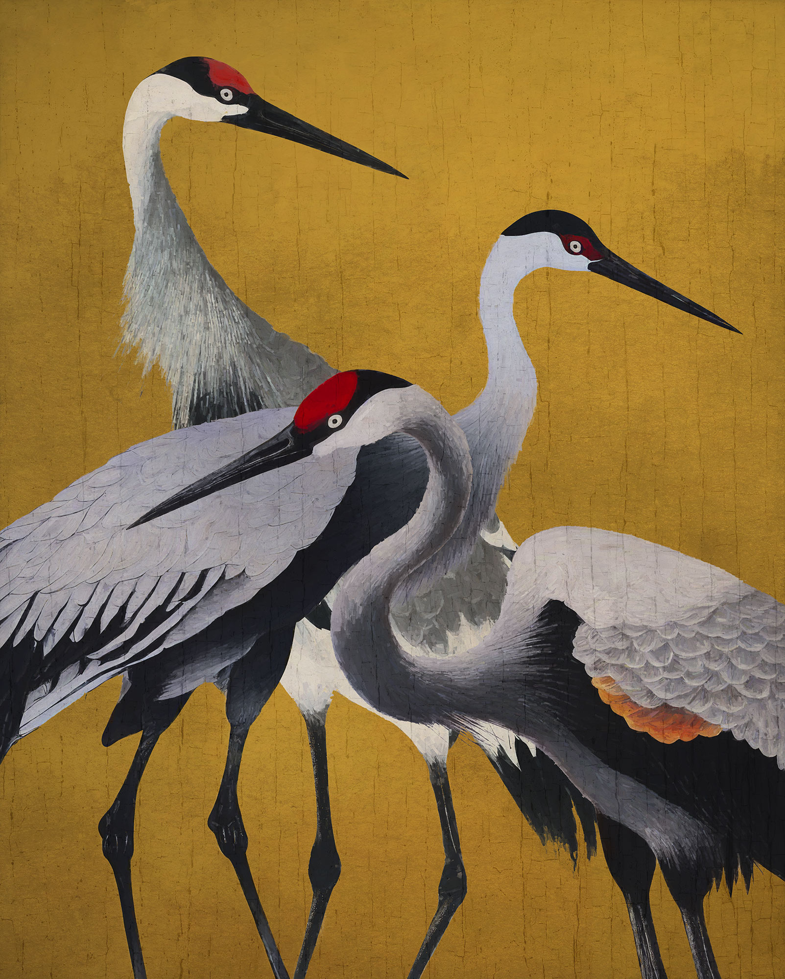 FLX4-053 Yellow Cranes, Fotomurale Komar Flair, Misura cm.200x250H