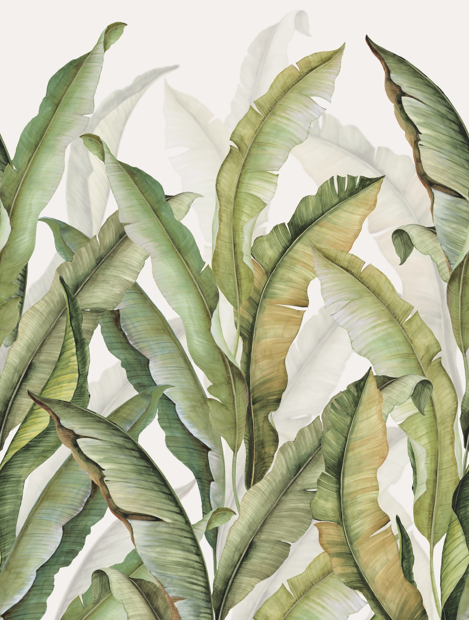 FW4032-1 Palm Leaves Palm Green, Stampa Pvc/Tnt Feature Walls, Misuramt.2,12x2,80H