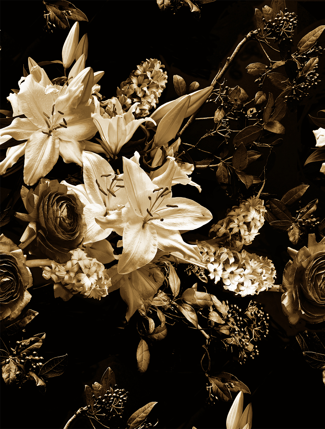 FW4065-2 Photographic Flowers Sepia, Stampa Pvc/Tnt Feature Walls, Misura mt.2,12x2,80H