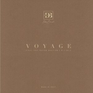 Voyage DB